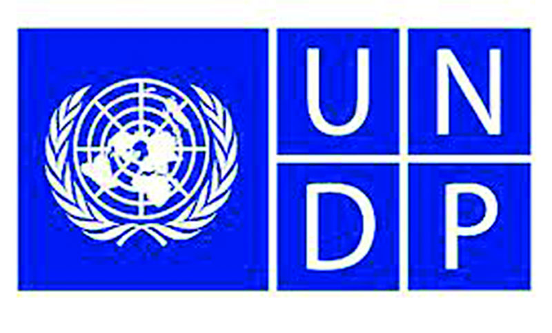 undpp