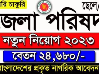 Zilla Parishad Job