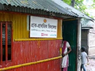 Brac Ngo Job