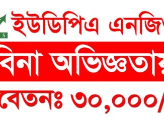 UDPS NGO Job